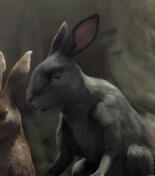 Bluebell (WsD: Netflix ver.)