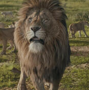 Obasi (TLK alt universe)