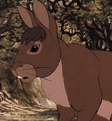 Thlayli/Bigwig (WsD)